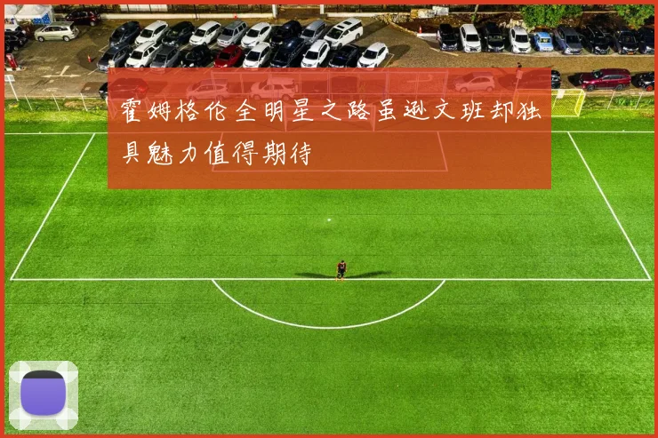 霍姆格伦全明星之路虽逊文班却独具魅力值得期待